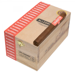 Illusione Allegria Lonsdale